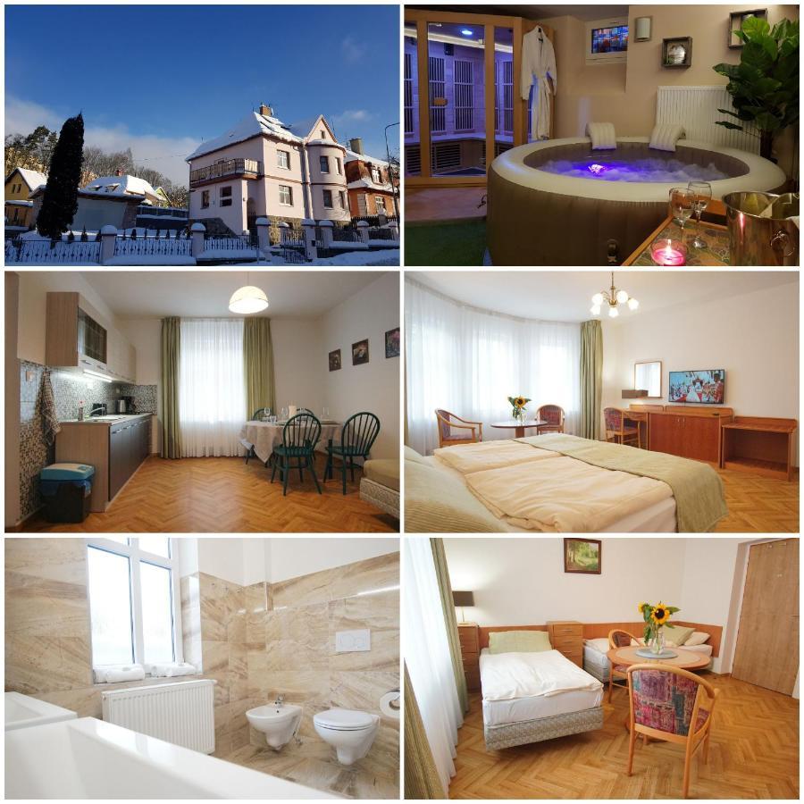 Aparthotel Vila Nejdek - Erzgebirge Zewnętrze zdjęcie