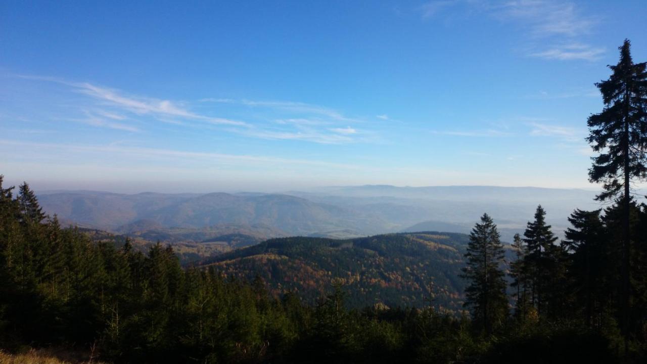 Aparthotel Vila Nejdek - Erzgebirge Zewnętrze zdjęcie